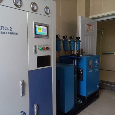 380V ze stali nierdzewnej 40 GP Kontener Mała instalacja tlenowa PSA na miejscu